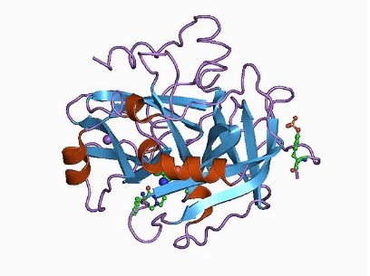 Estrutura 3D Proteínas