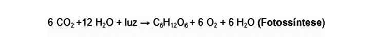 Exemplo Reação química por ação da luz