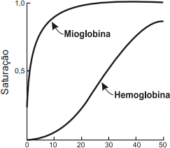 Imagem questão Enem sobre o Sistema Respiratório Humano