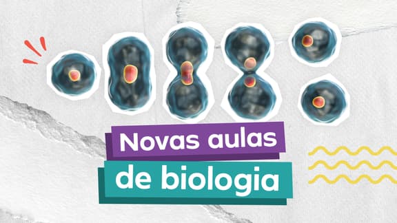 A frase "Novas aulas de Biologia" e, logo acima, uma imagem com as fases de separação do zigoto.