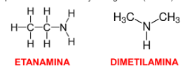 Representação da etanamina e da dimetilamina