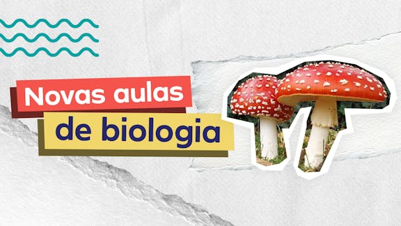 Frase "Novas aulas de Biologia" do lado esquerdo e, logo a direita, a imagem de dois cogumelos.